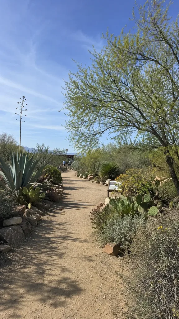 Springs Preserve