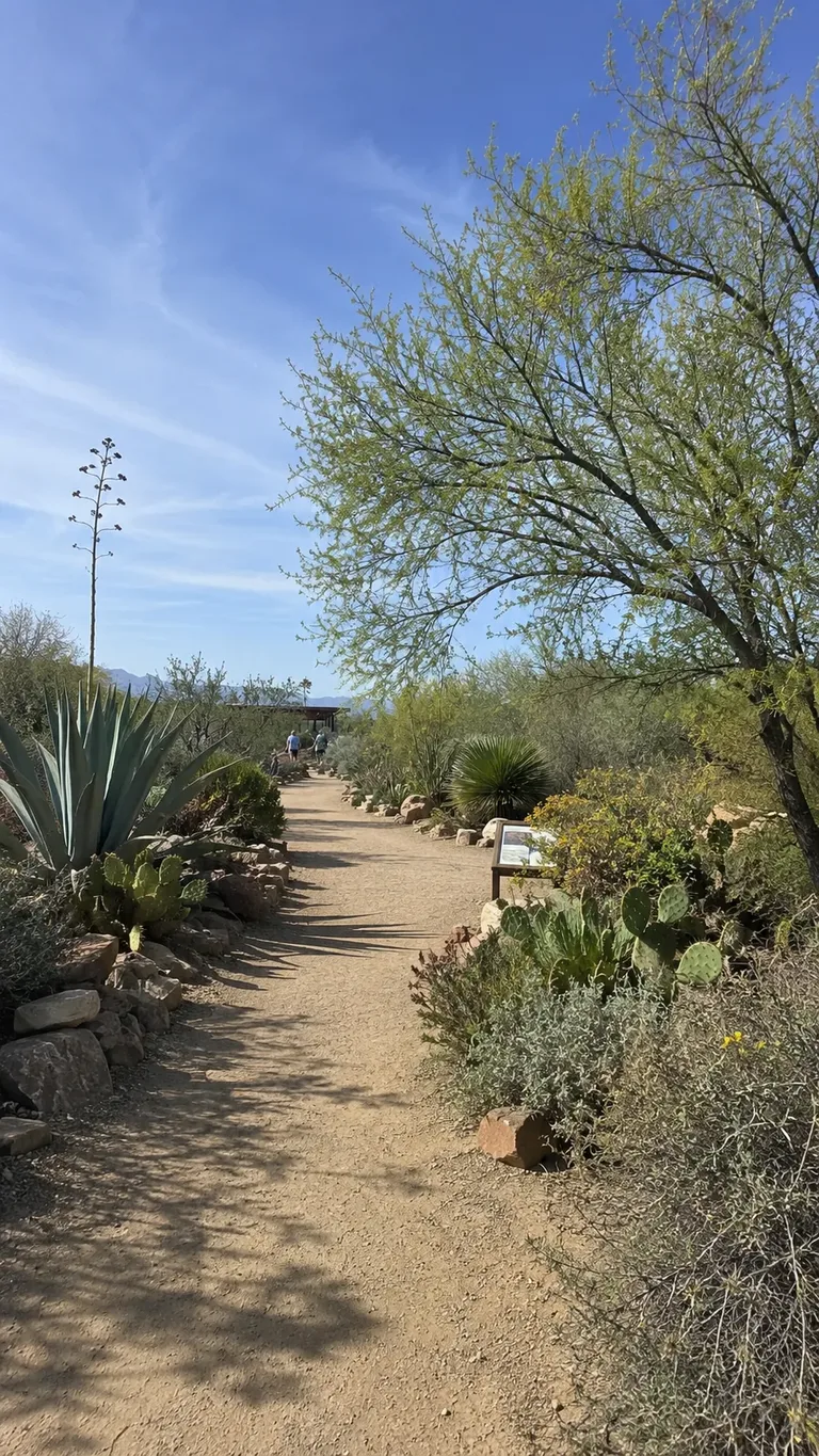 Springs Preserve