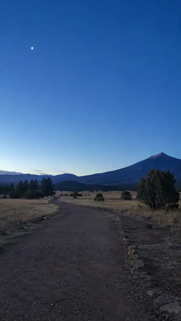 Buffalo Park