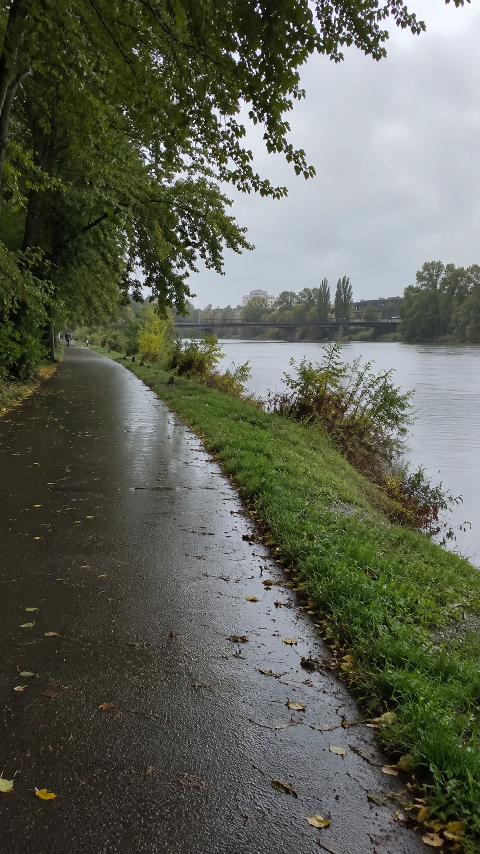 Willamette River Trail, Eugene, Oregon