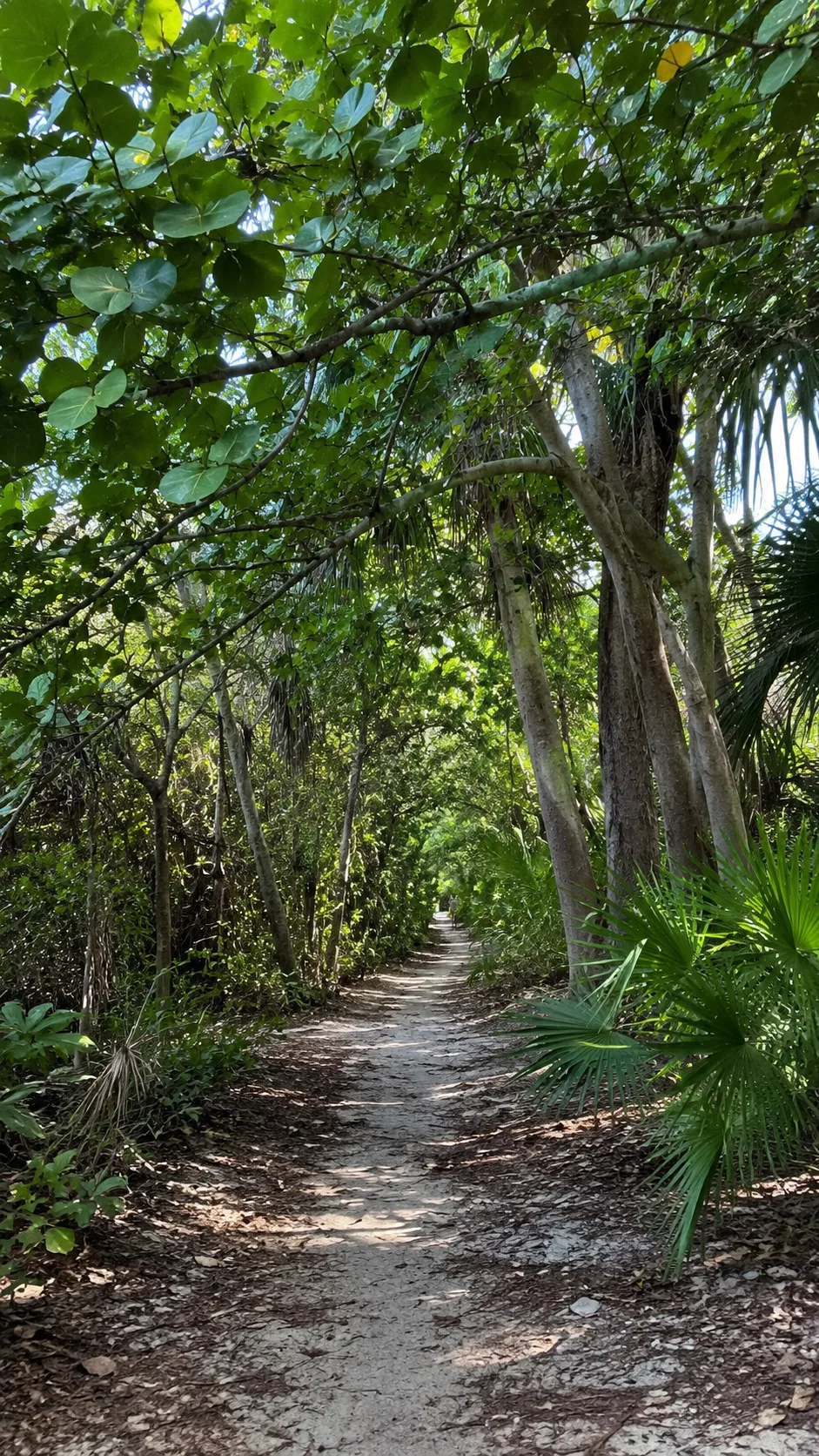 Hugh Taylor Birch State Park, Fort Lauderdale, Florida