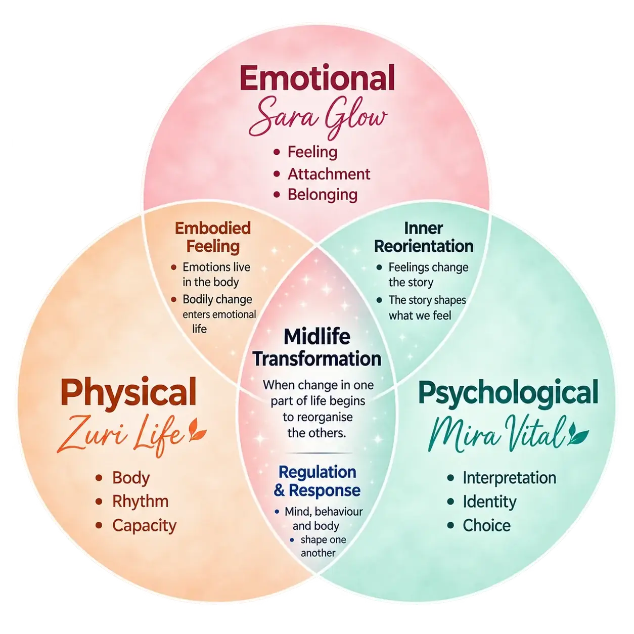 Midlife Lenses Venn diagram showing the Emotional, Physical and Psychological dimensions of Midlife Transformation.